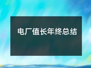 电厂值长年终总结