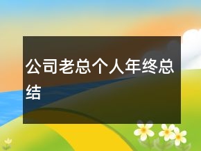 公司老总个人年终总结