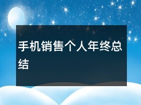 手机销售个人年终总结