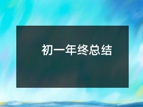 初一年终总结