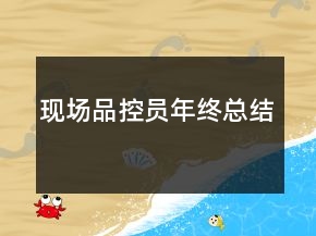 现场品控员年终总结