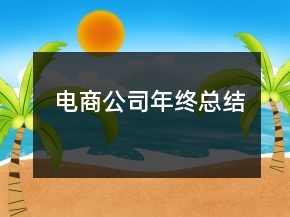 电商公司年终总结