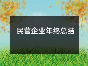 民营企业年终总结