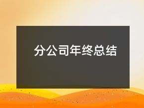 分公司年终总结
