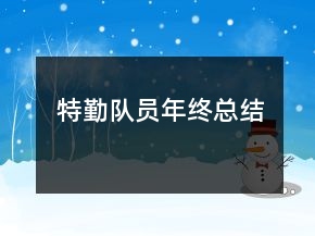特勤队员年终总结