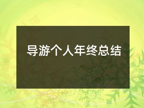 导游个人年终总结