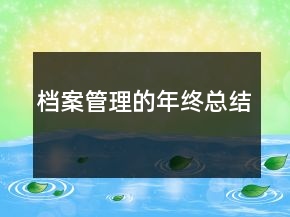 档案管理的年终总结