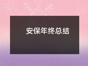 安保年终总结