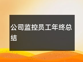 公司监控员工年终总结