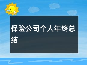 保险公司个人年终总结