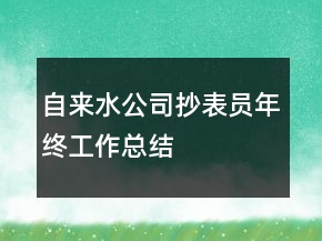 自来水公司抄表员年终工作总结