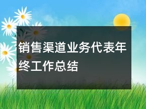销售渠道业务代表年终工作总结