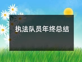 执法队员年终总结