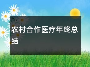 农村合作医疗年终总结