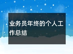 业务员年终的个人工作总结