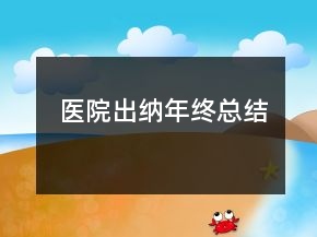 医院出纳年终总结