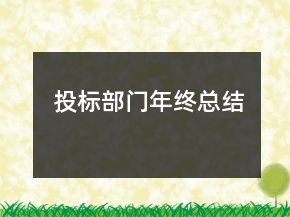 投标部门年终总结