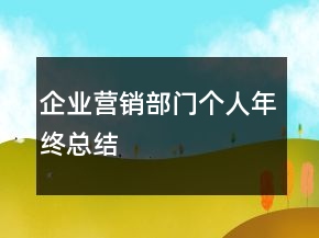 企业营销部门个人年终总结