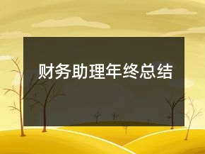 财务助理年终总结