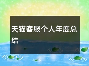 天猫客服个人年度总结