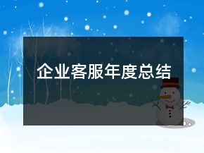 企业客服年度总结