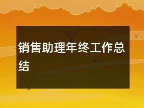 销售助理年终工作总结