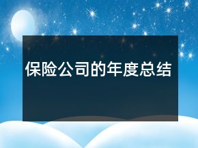 保险公司的年度总结