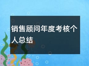 销售顾问年度考核个人总结