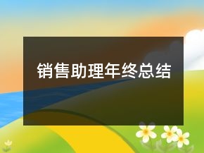 销售助理年终总结