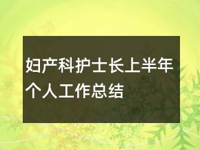 妇产科护士长上半年个人工作总结
