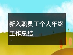 新入职员工个人年终工作总结