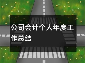 公司会计个人年度工作总结