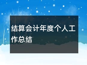结算会计年度个人工作总结