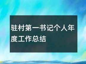 驻村第一书记个人年度工作总结