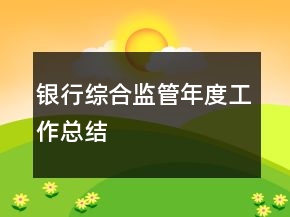 银行综合监管年度工作总结