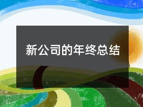 新公司的年终总结