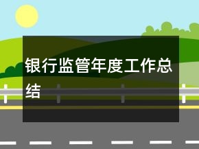 银行监管年度工作总结