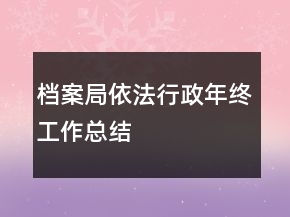 档案局依法行政年终工作总结