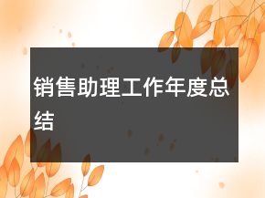 销售助理工作年度总结