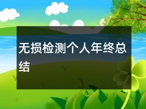 无损检测个人年终总结