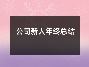 公司新人年终总结