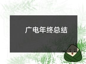 广电年终总结
