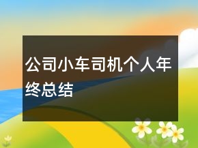 公司小车司机个人年终总结