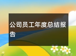 公司员工年度总结报告