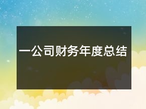 一公司财务年度总结
