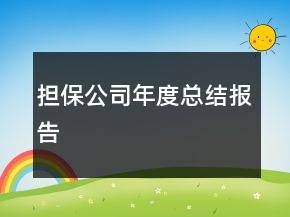 担保公司年度总结报告