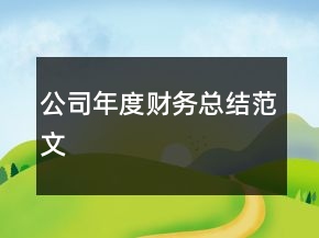 公司年度财务总结范文