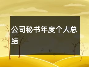 公司秘书年度个人总结