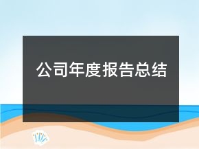 公司年度报告总结