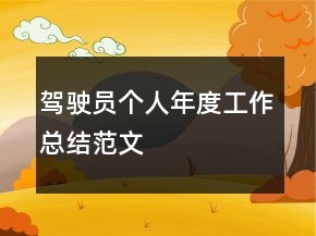 驾驶员个人年度工作总结范文
